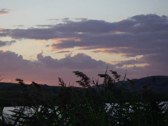 pescuit - PICT0438.jpg